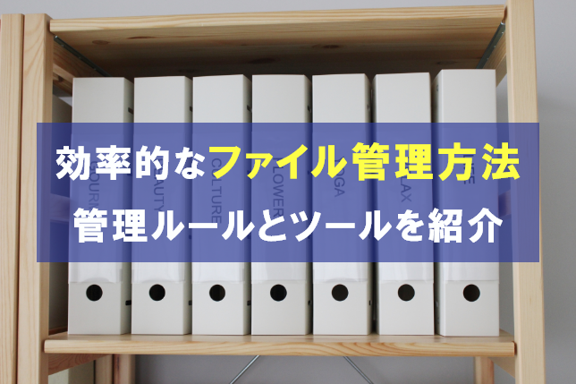 効率的なファイル管理の方法は？管理ルールやツールの選び方を解説
                                            